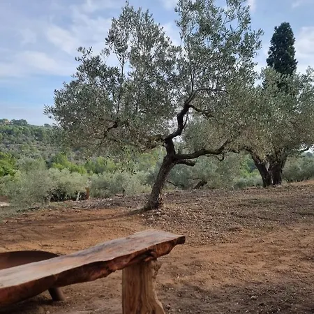 Eco Finca Casa Baranku' * Тортоса